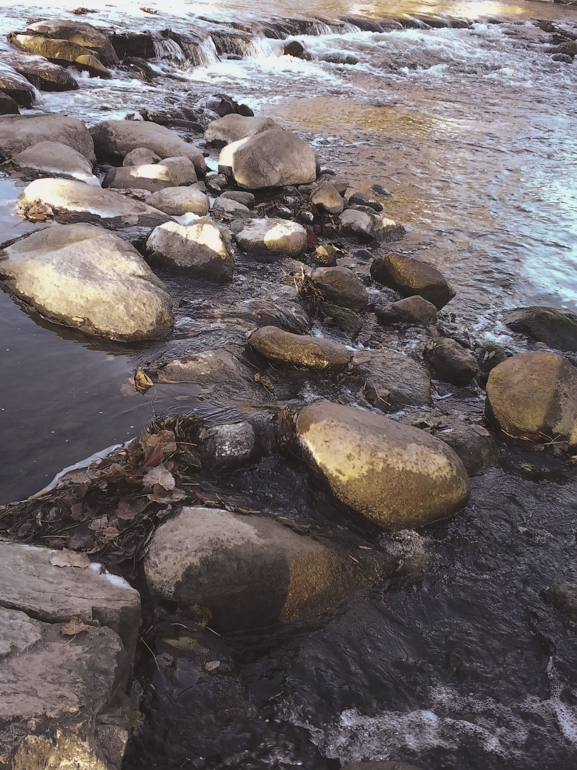 A sample image taken with the Instax Mini Evo 2