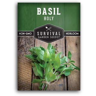 Holy Basil Seeds