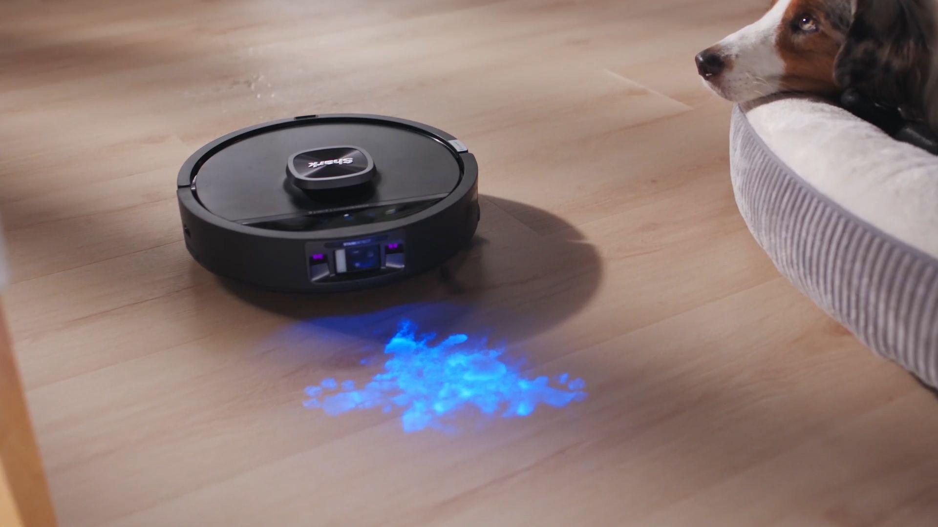 The Shark PowerDetect UV Reveal 2-in-1 Robot Vacuum &amp;amp; Mop showing dirt in a home using UV sensors