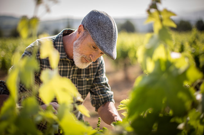 Cava de Paraje Calificado