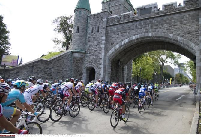 The bunch foes under a brdige