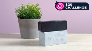 The WGO Bluetooth Speaker in front of a pink background and a pot plant, with the words '$20 challenge' layered on top.