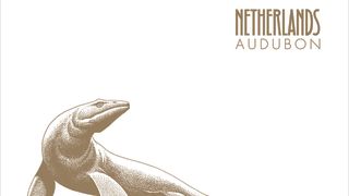 Netherlands 'Audubon' album cover