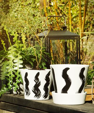 White painted terracotta pots with an abstract black swirly stripe