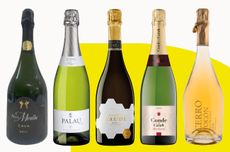 CAVA DAY