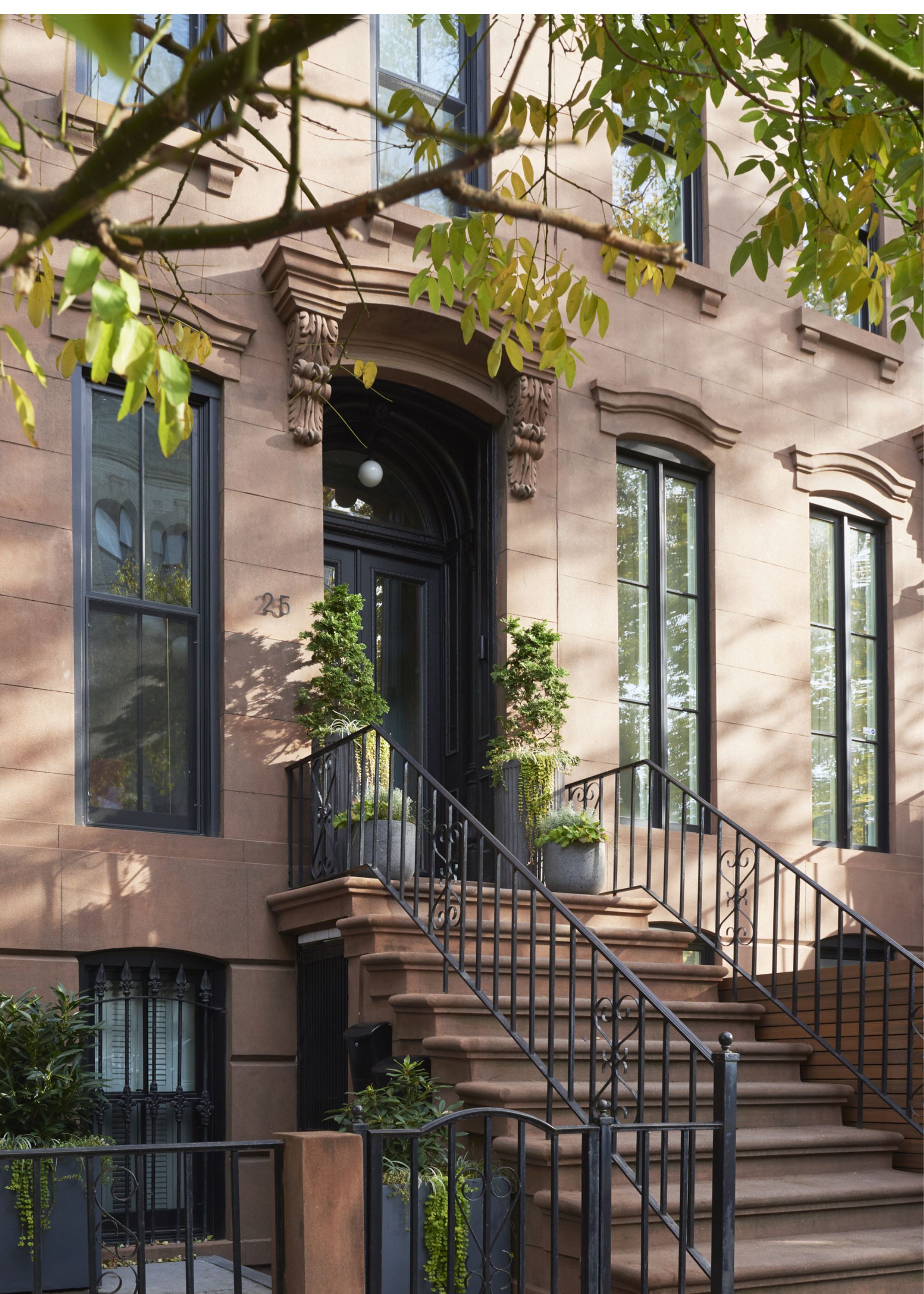 The exterior of a home including the front door, stairs and windows that contrast the exterior walls perfectly. There are also plants outside of the home with a large tree planted close by
