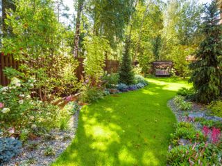 A Backyard Landscape Of Green Grass Plants And Flowers