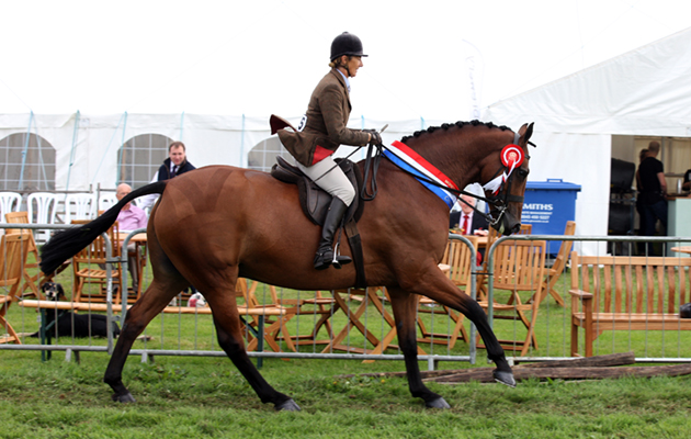 Moreton in Marsh show 01 09 2018