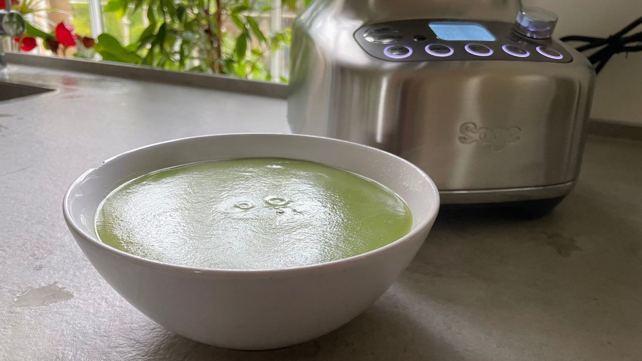 Sage The Q Blender