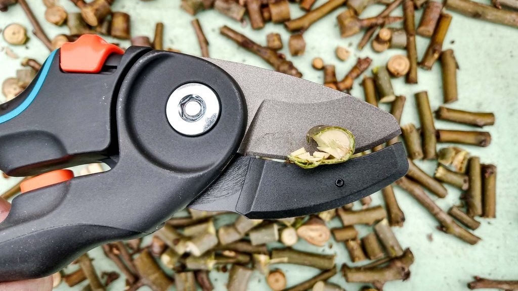 Best pruning shears in 2024 Tested and rated Tom's Guide