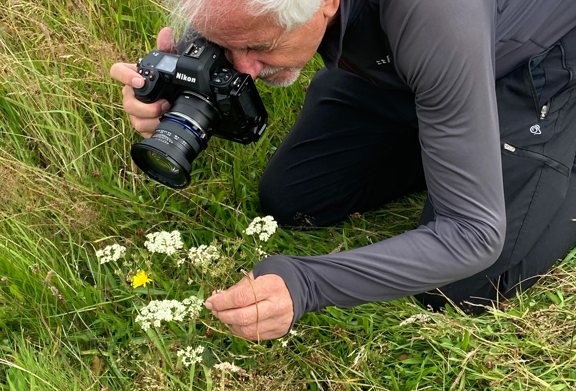 Nigel A Ball photographing an insect on a flower in a grassy field with a Nikon Z8