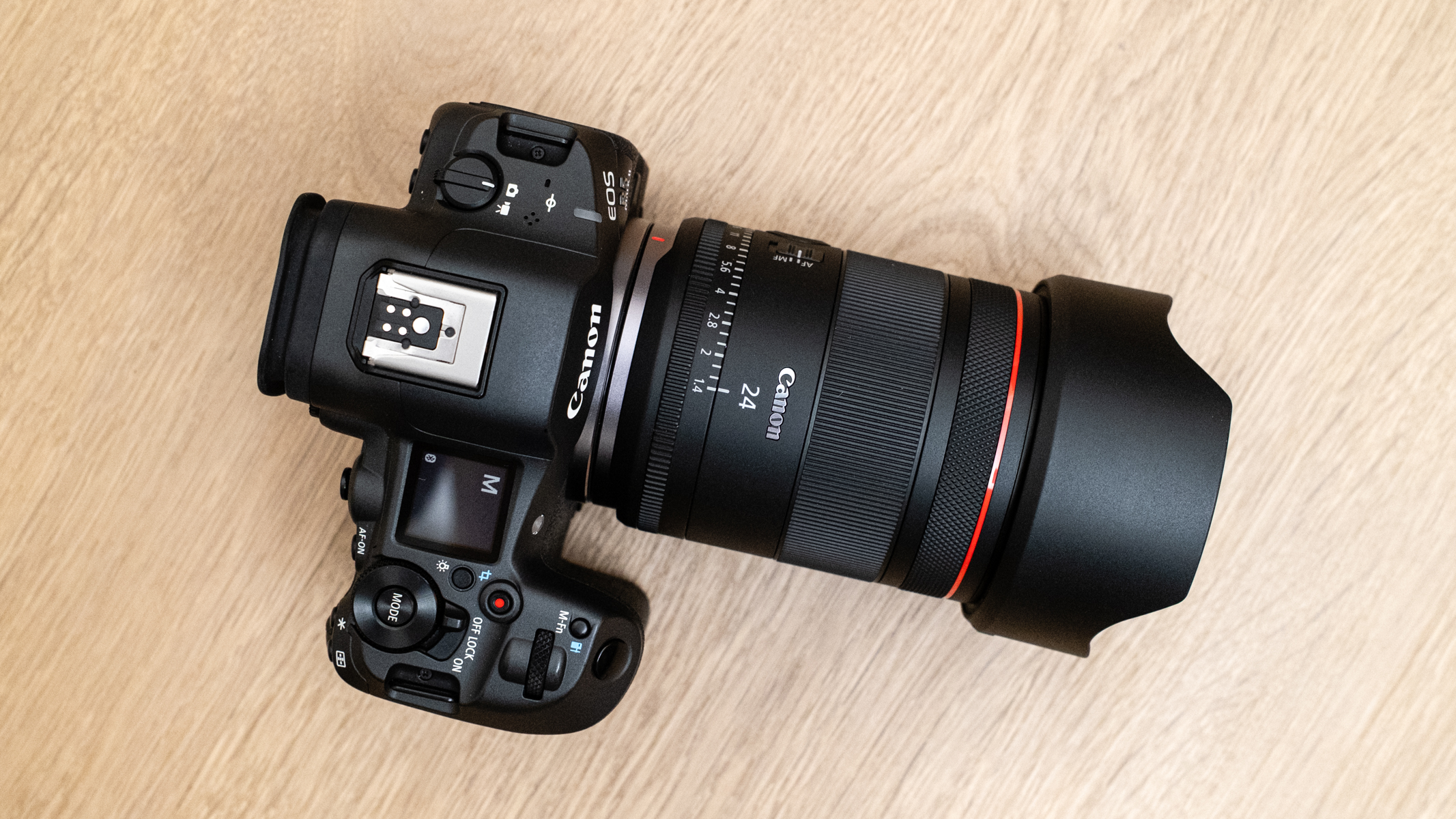 Canon RF 24mm f/1.4L VCM attached to a Canon R5 Mark II