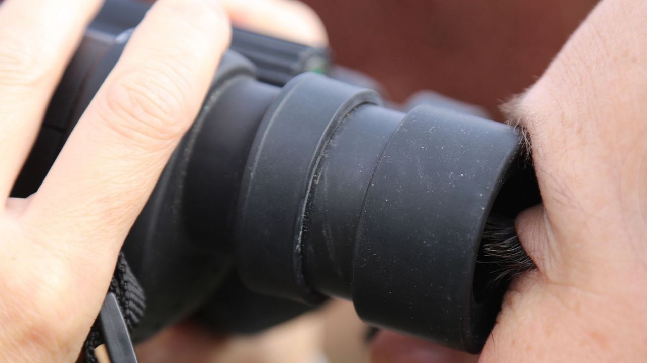 Canon 10x42L IS WP binoculars review: image shows Canon 10x42L IS WP binoculars