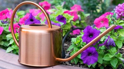 Best watering can