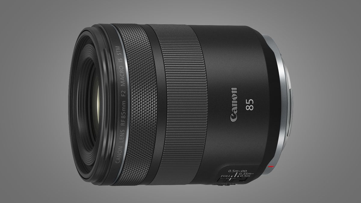 Best Canon RF Lenses 2022: The Best Lenses For Canon's Mirrorless EOS R ...