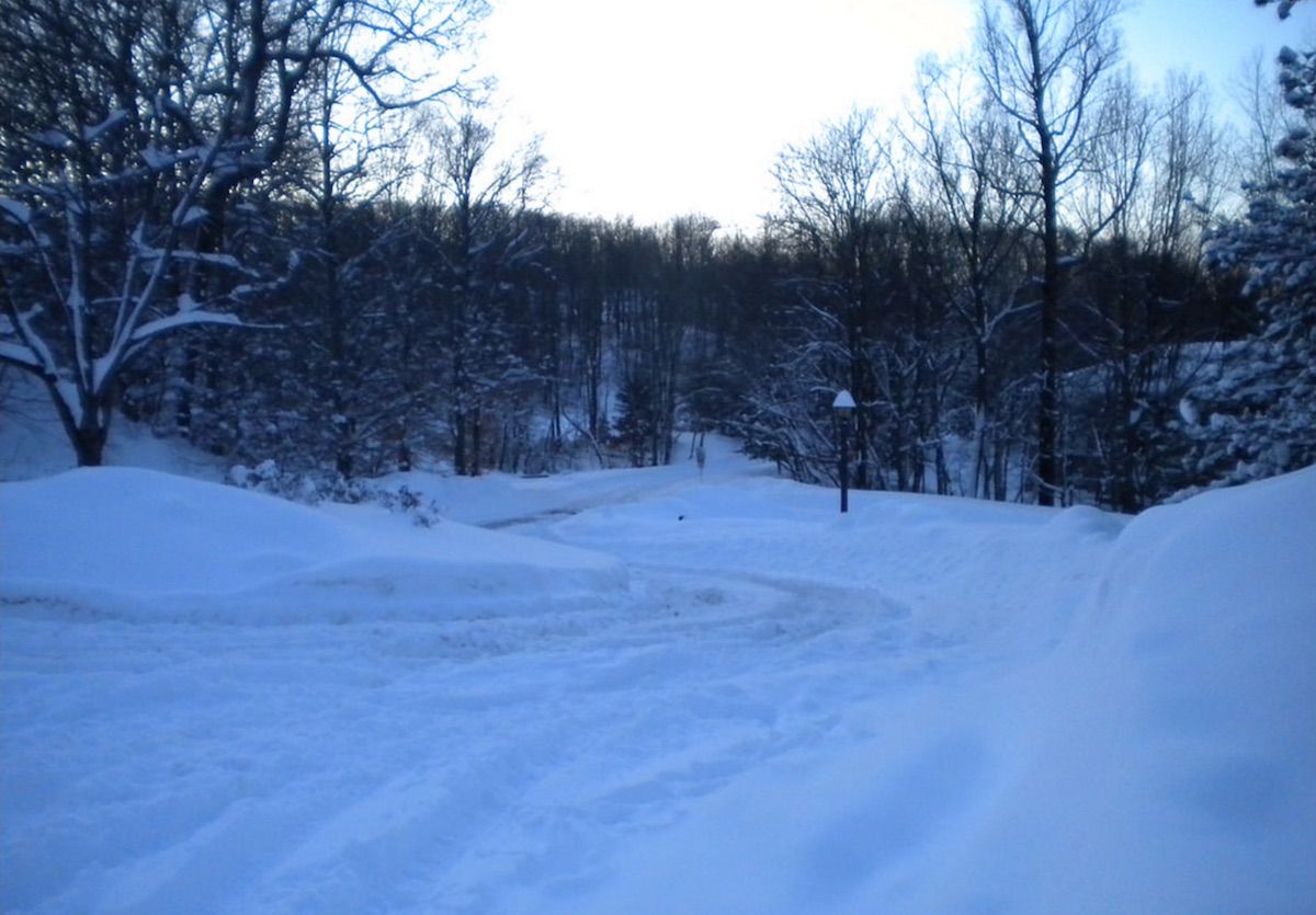 Jonas dumped quite a bit of snow on Reading, Pennsylvania, seen in this image taken on Sunday, Jan. 24.