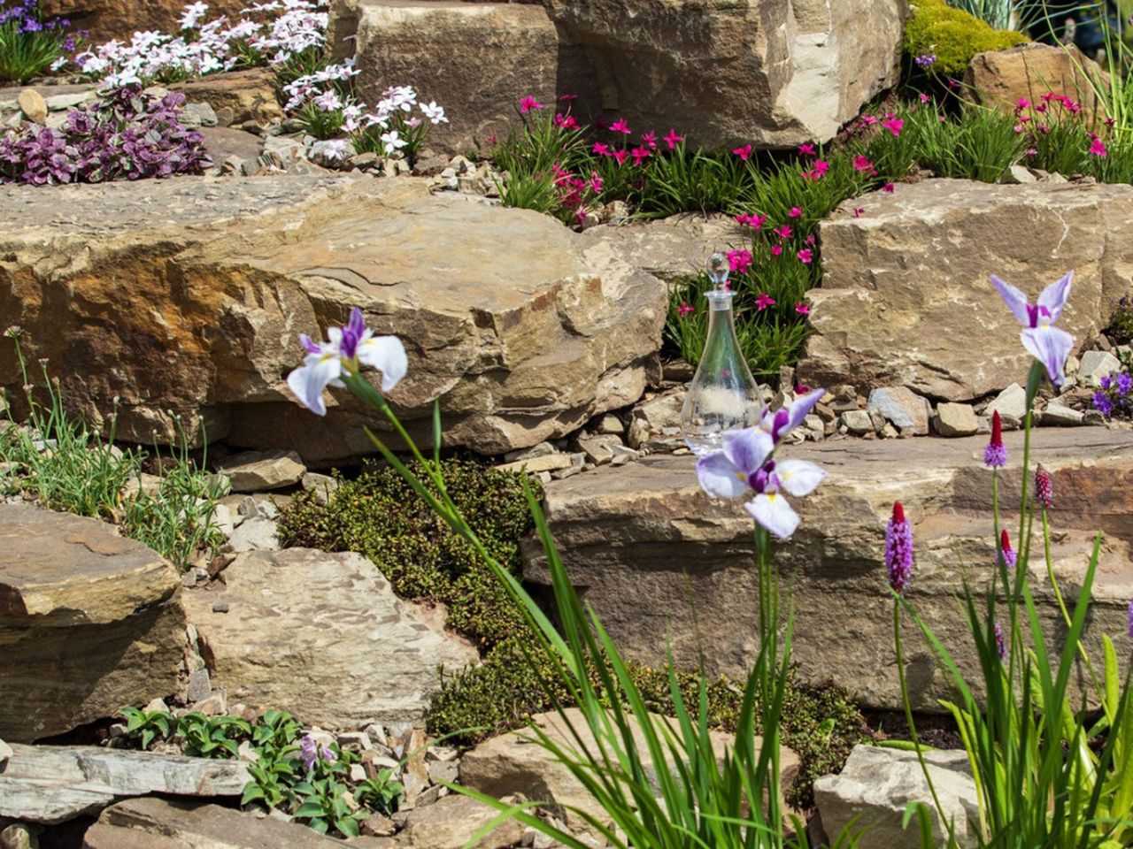 Rock Garden With Flowers