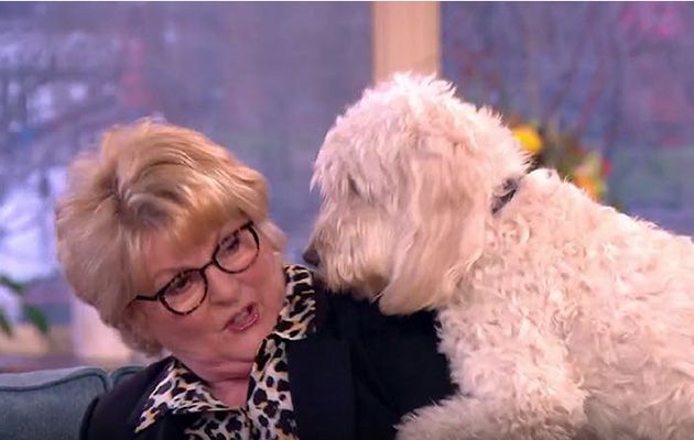 This Morning fans left in hysterics as Brenda Blethyn’s dog gets over-friendly!