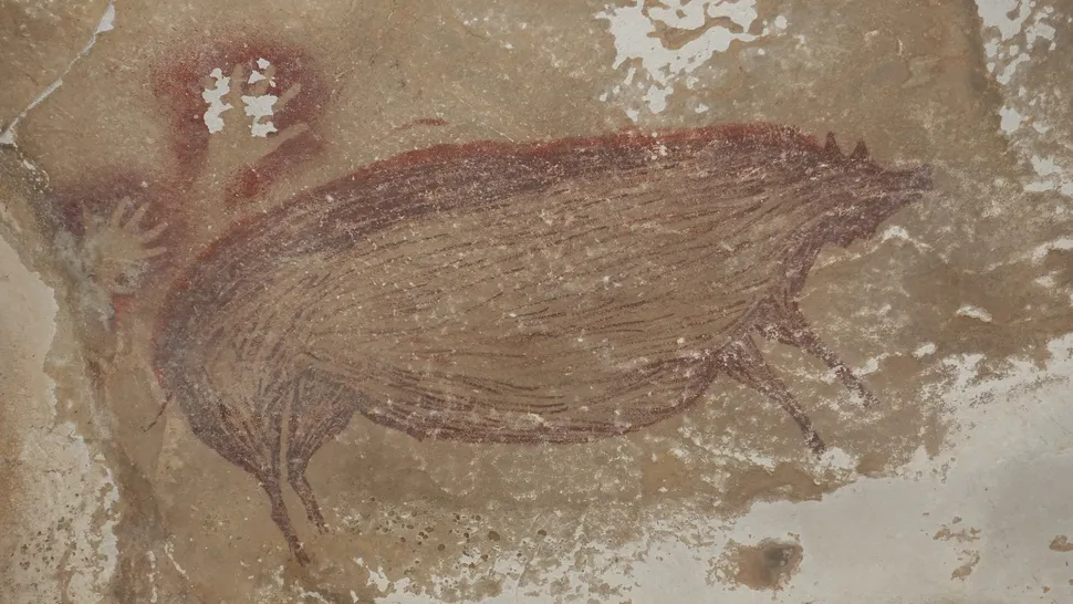 Warty pig is oldest animal cave art on record RHuHhjGd3LsPTckpFpKe3D-970-80.jpg