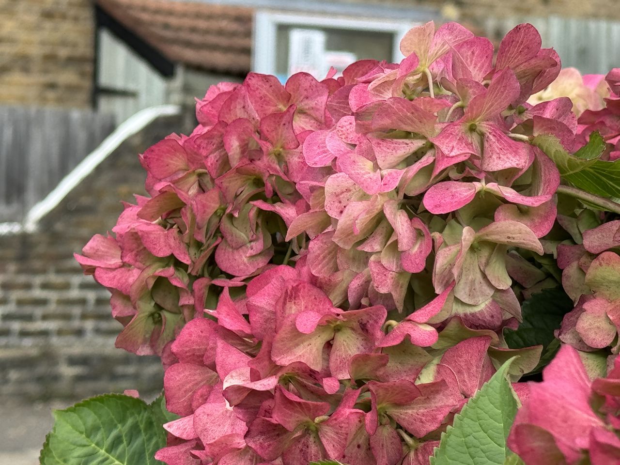 A photo taken on the iPhone 15 Pro Max