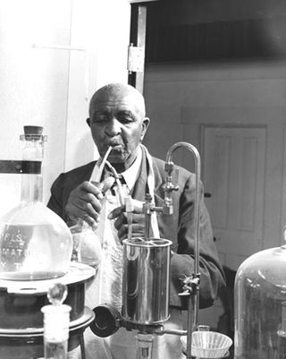 George Washington Carver working in his laboratory.