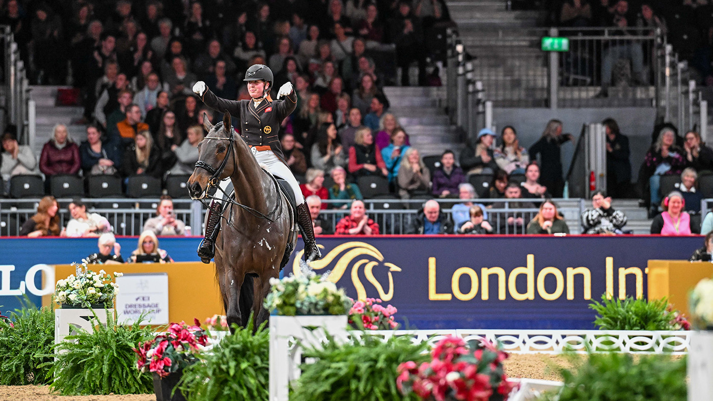 how to create a dressage freestyle