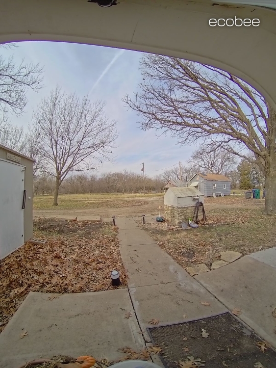 Ecobee Smart Doorbell Camera sample yard view during the day