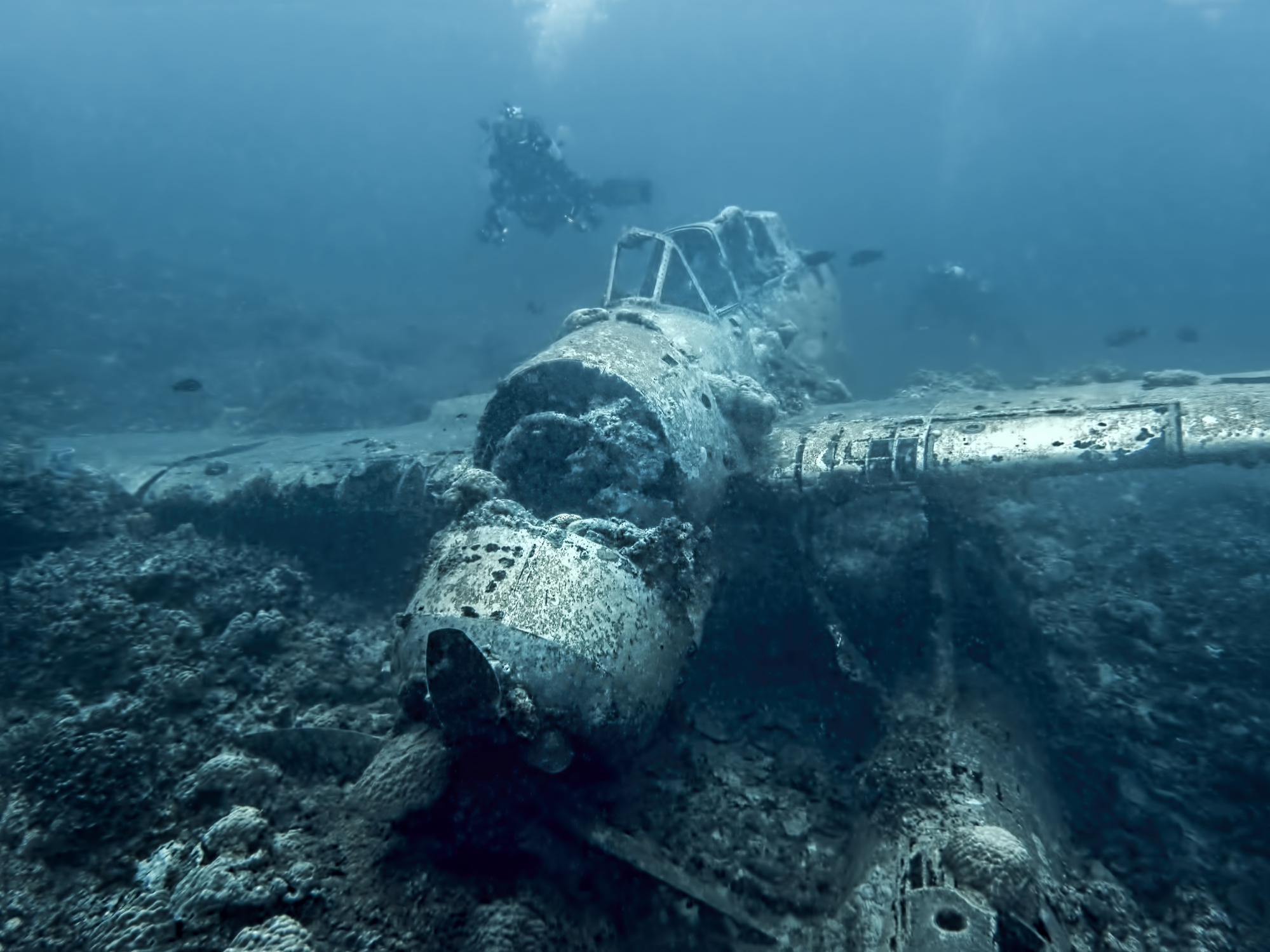 Palau's seaplane wreckage