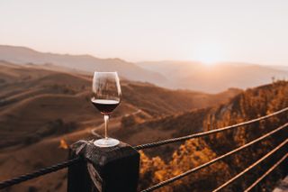 Pinot Noir wine in glass above vineyard