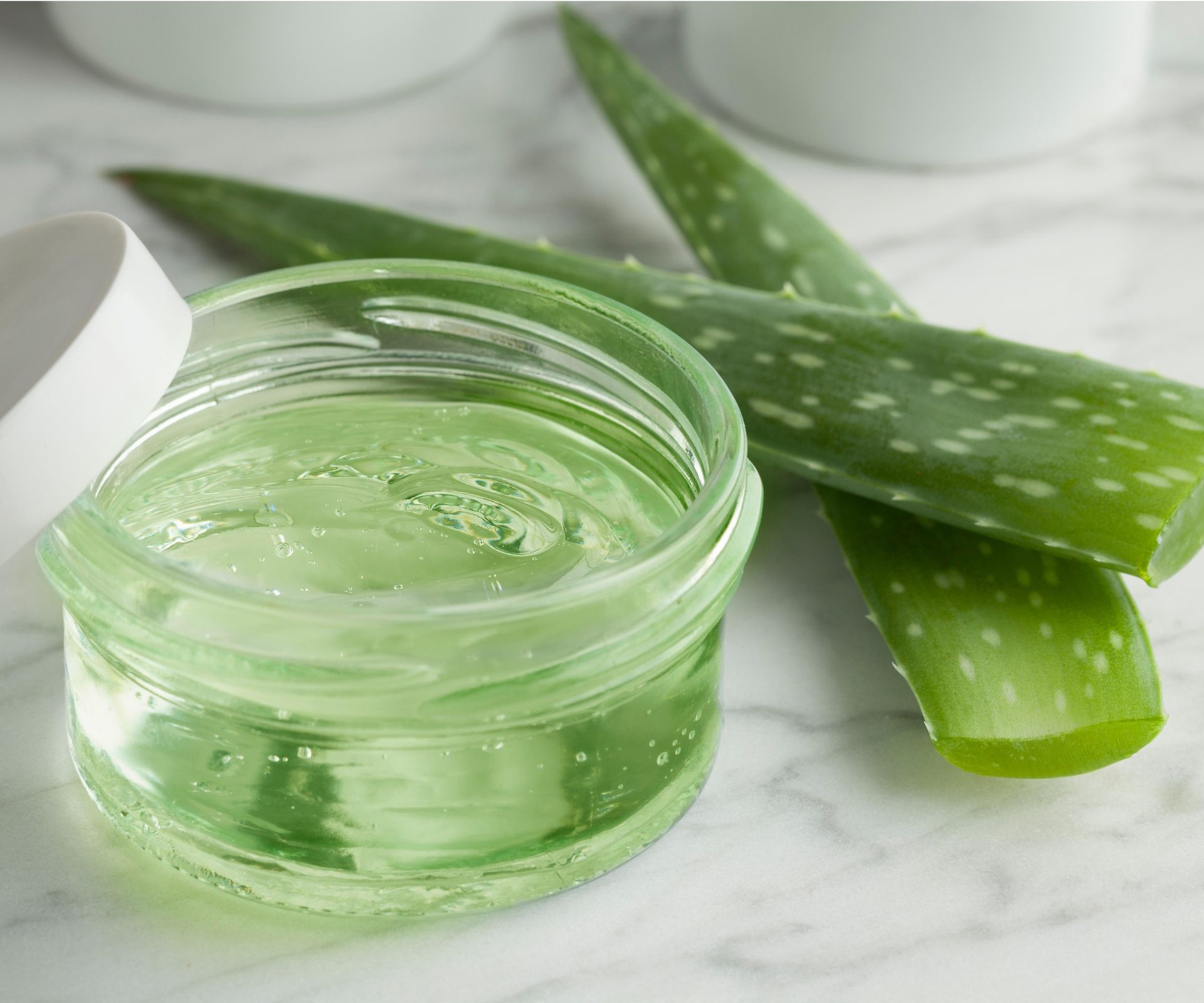 Unlock The Mystery: The Unexpected Taste Of Aloe Vera - nc60bzg