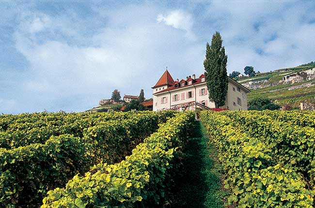 Lausanne Best of Wine Tourism award