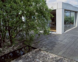 wooden deck with pebble inserts, rill and tree