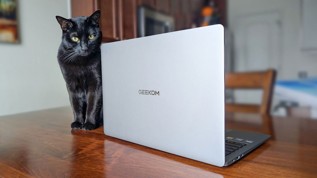 Backside of the Geekom GeekBook X16 Pro next to a cat.