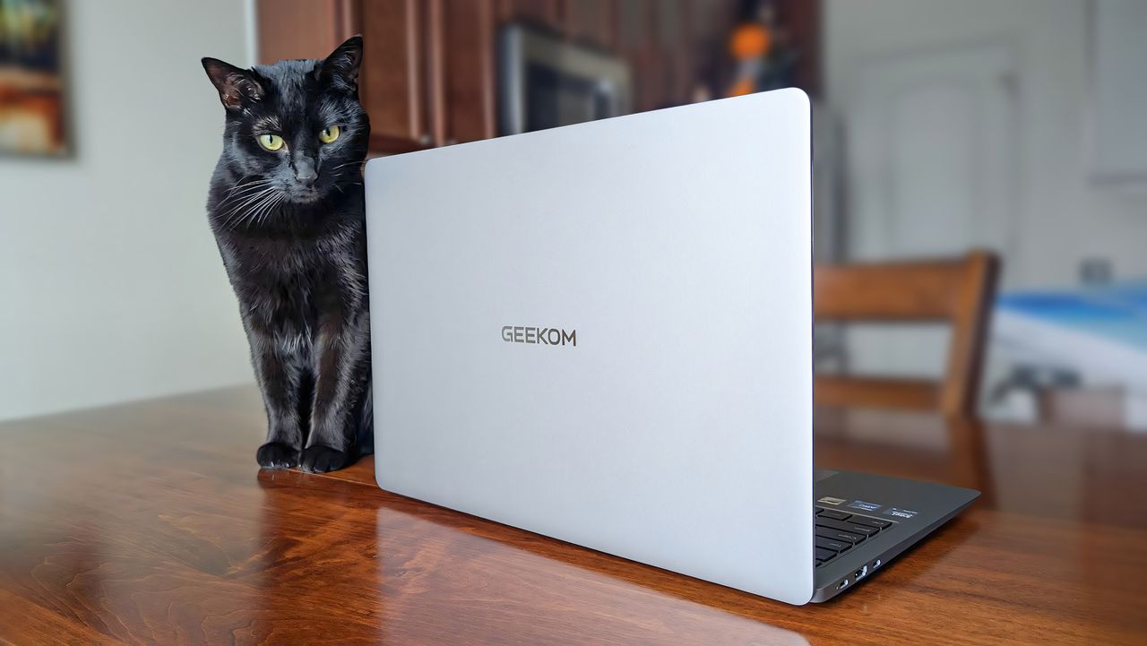 Backside of the Geekom GeekBook X16 Pro next to a cat.