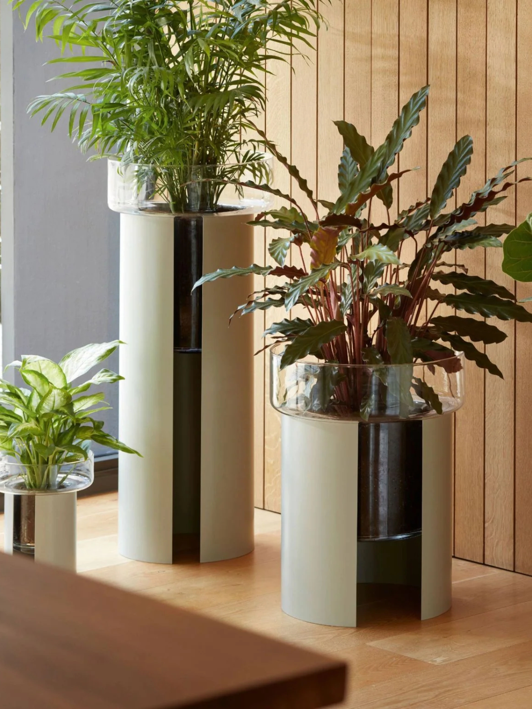 lsa-international, Planter