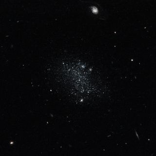 This color composite taken on Oct. 30, 2014 by the Hubble Space Telescope shows what the dwarf galaxy Pisces A would look like to the naked eye: a dim cluster of light blue stars.