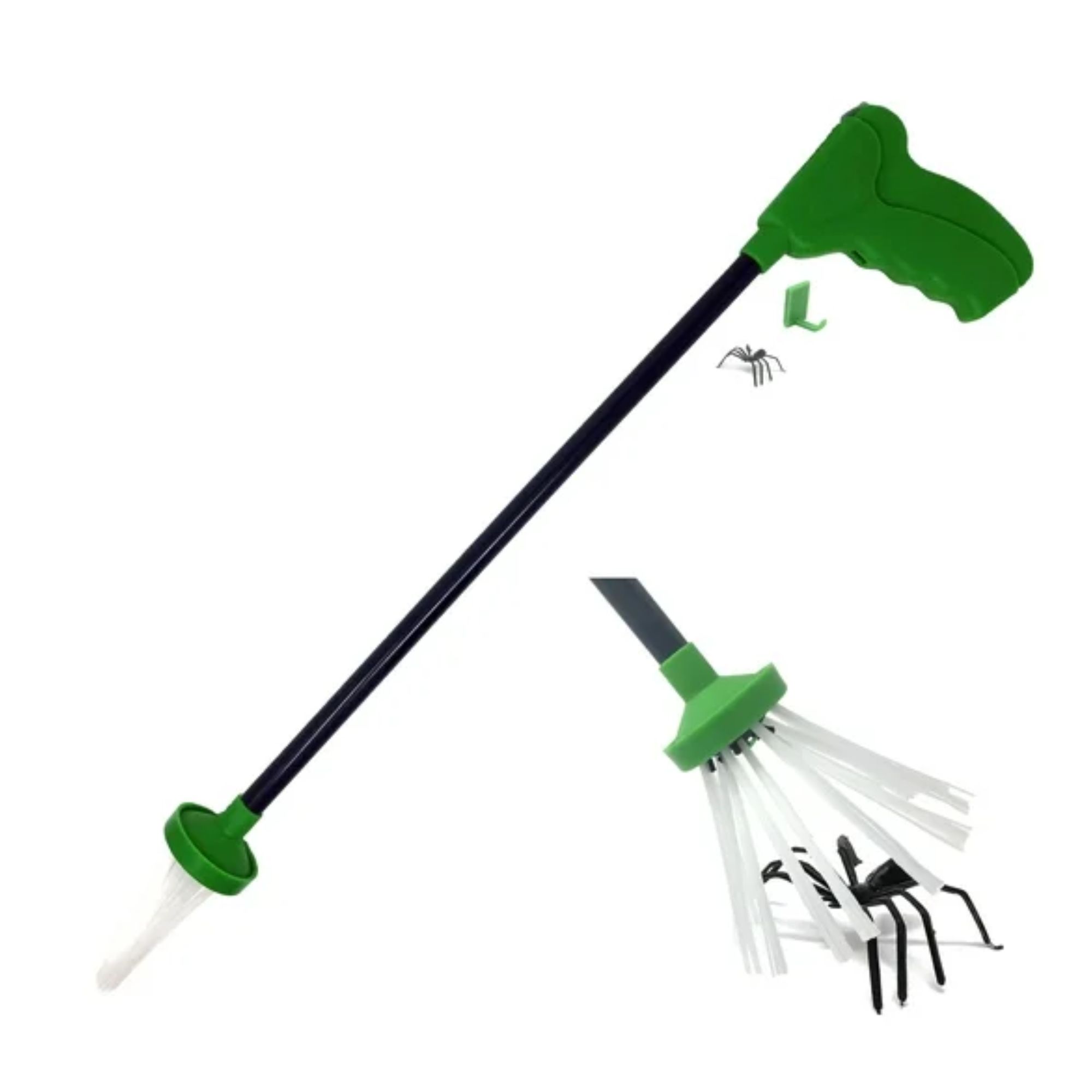 Green and black spider catcher