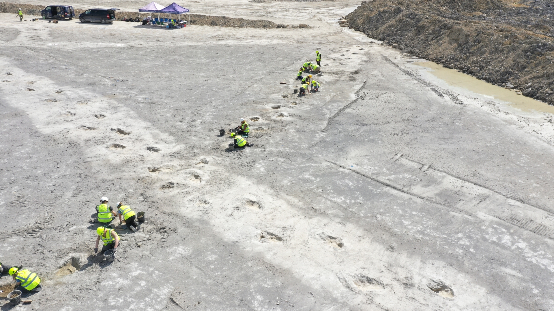 Bizarre bumps in UK quarry turn into 166 million-year-old dinosaur ‘freeway’ for a few of Jurassic’s greatest dinosaurs