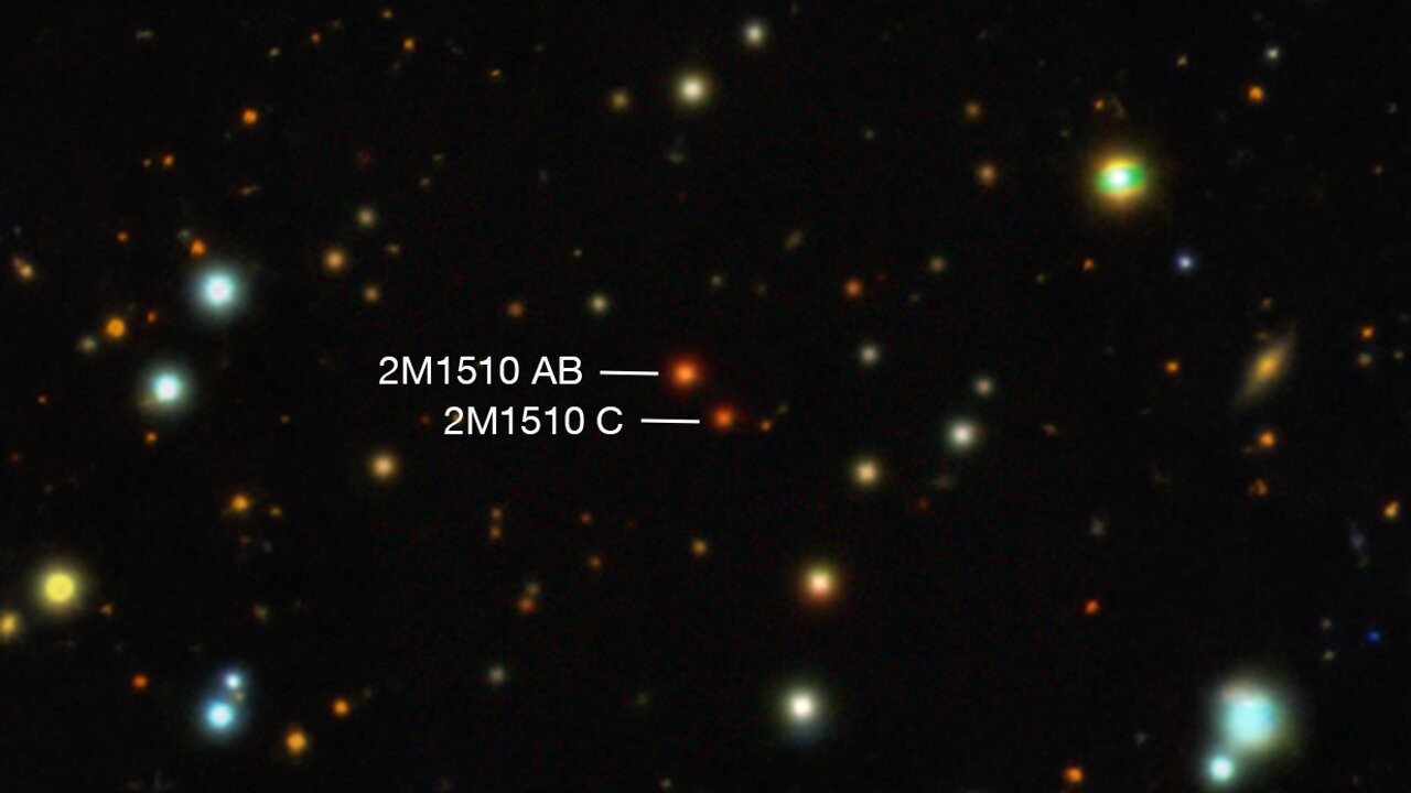 many bright, multicolored orbs on a black background