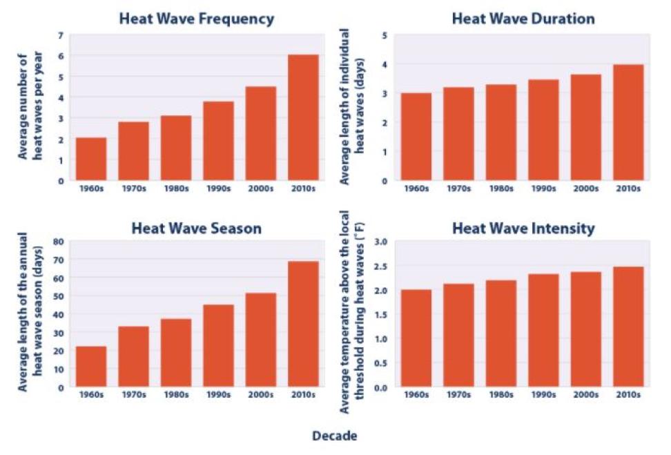 Four bar charts show the effects of heat waves over a period of 50 years.