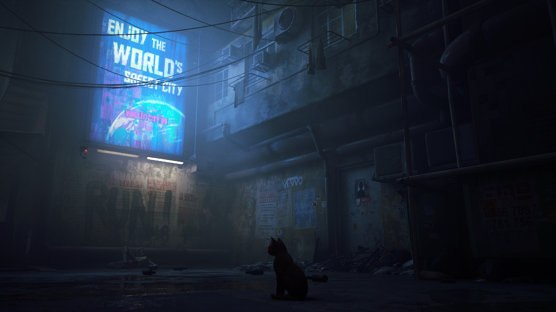 A cat wanders on neon streets in Stray