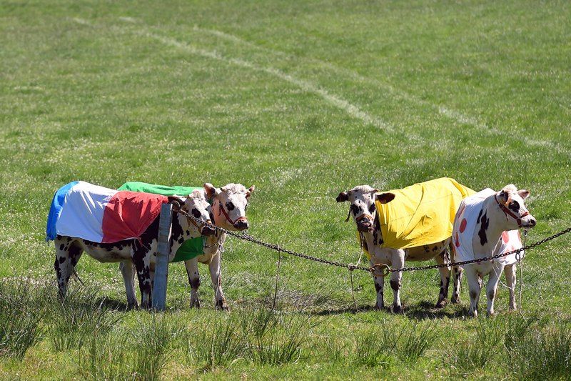 Some local farmers got into the spirit of the Tour today