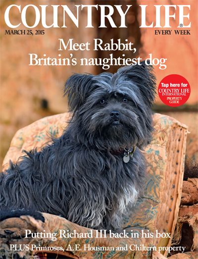 Country Life March 25 2015