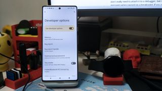 Pixel 6 Pro Developer options