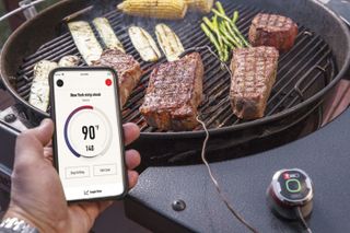 Weber iGrill Mini