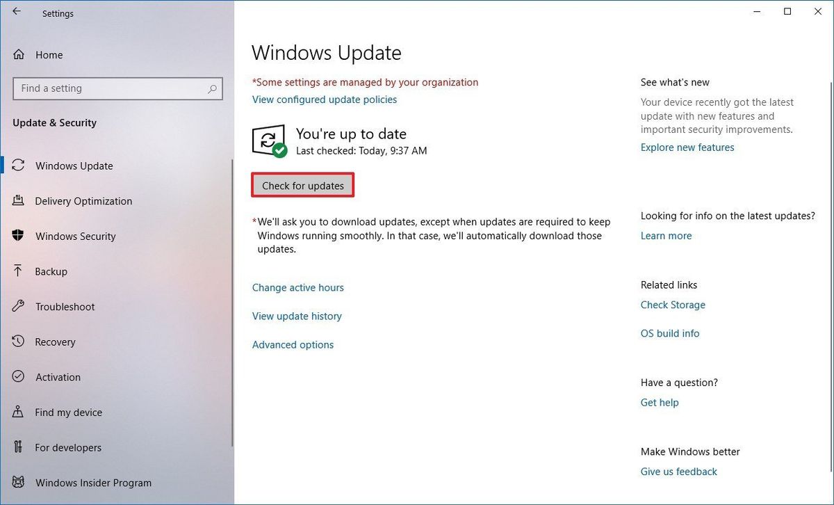 How to get Windows 10 May 2019 Update on your PC as soon as possible ...