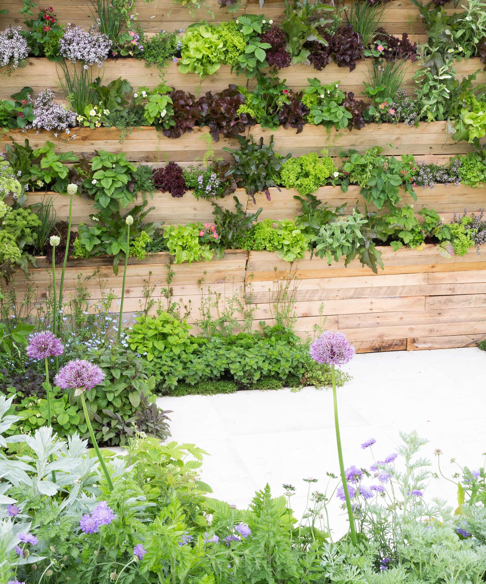 Image showcasing Front yard vegetable garden ideas: 10 stylish ways | Homes and Gardens