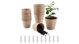 peat pot for plant