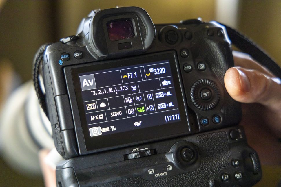 Camera Squirrel 10 pro tips for wildlife pictures: Take amazing red squirrel portraits ...