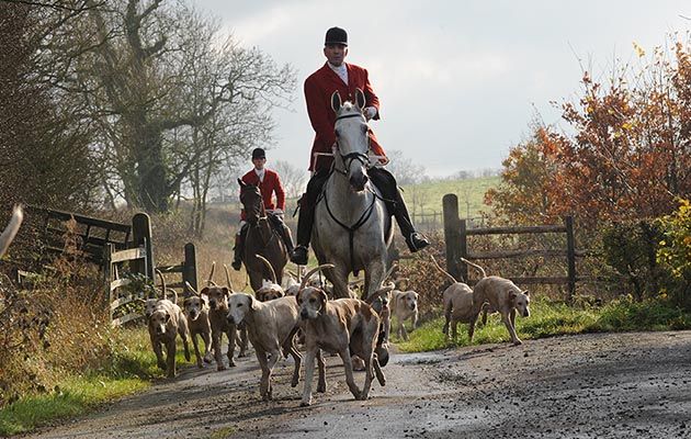 The Hunting Act 2004 is law governing the hunting of animals with hounds